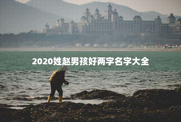 2020姓赵男孩好两字名字大全
