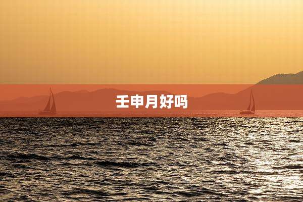 壬申月好吗