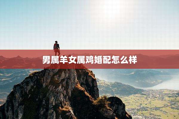 男属羊女属鸡婚配怎么样