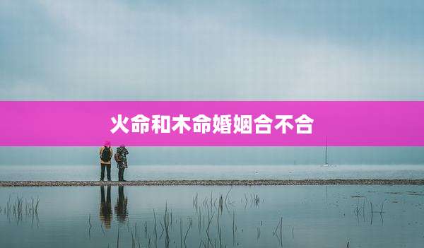 火命和木命婚姻合不合
