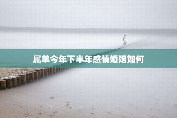 属羊今年下半年感情婚姻如何