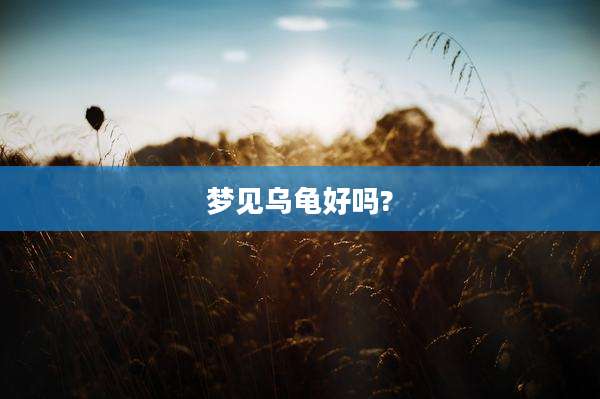 梦见乌龟好吗?