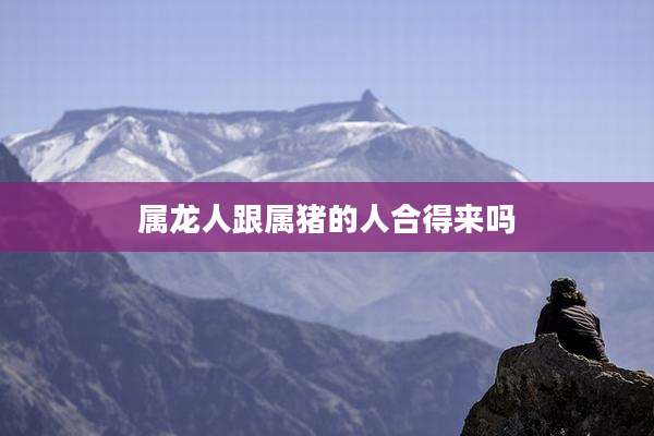 属龙人跟属猪的人合得来吗