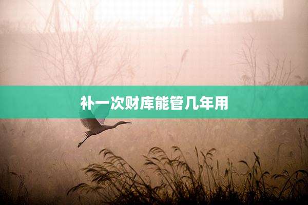 补一次财库能管几年用