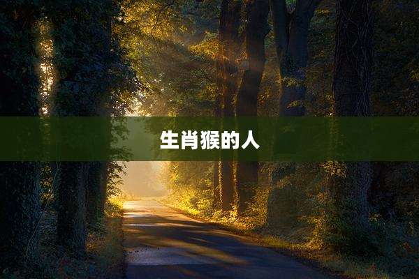 生肖猴的人