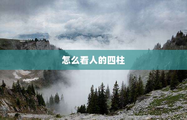 怎么看人的四柱