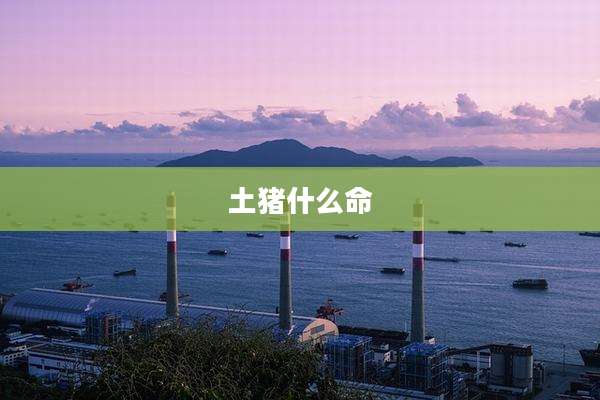 土猪什么命