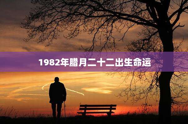 1982年腊月二十二出生命运