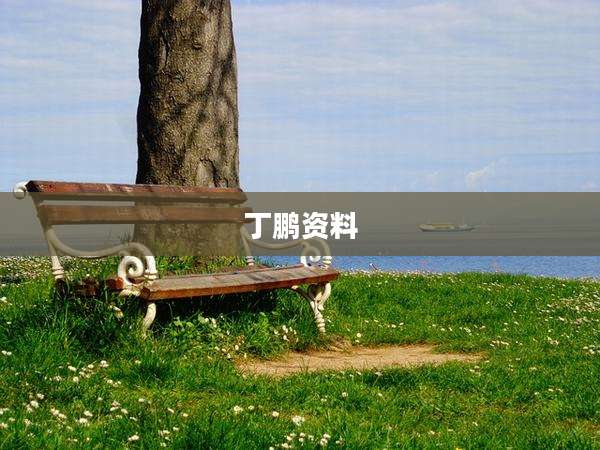 丁鹏资料