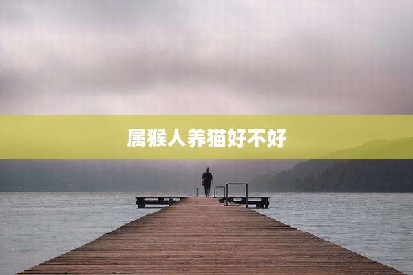 属猴人养猫好不好