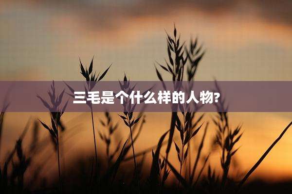 三毛是个什么样的人物?