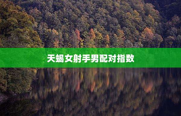 天蝎女射手男配对指数