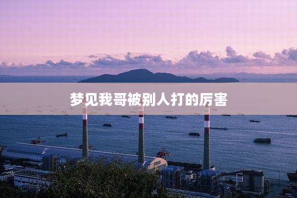 梦见我哥被别人打的厉害