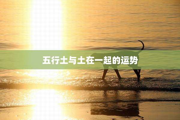 五行土与土在一起的运势