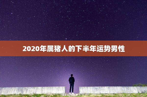 2020年属猪人的下半年运势男性