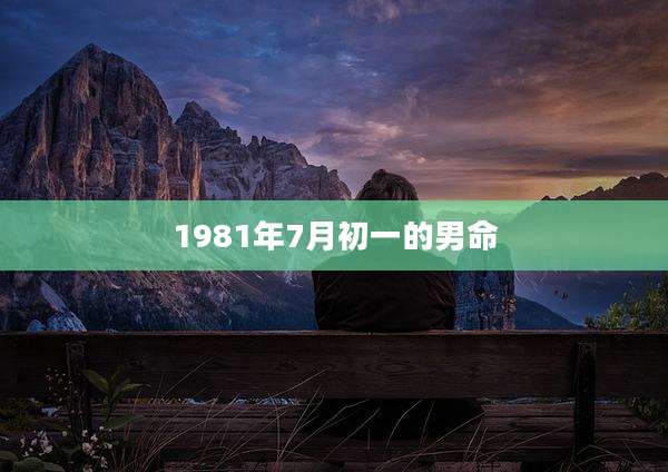 1981年7月初一的男命