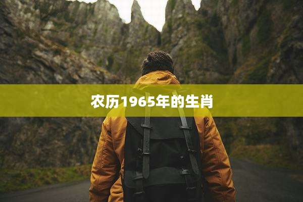 农历1965年的生肖
