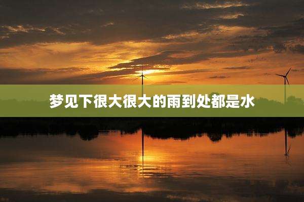 梦见下很大很大的雨到处都是水