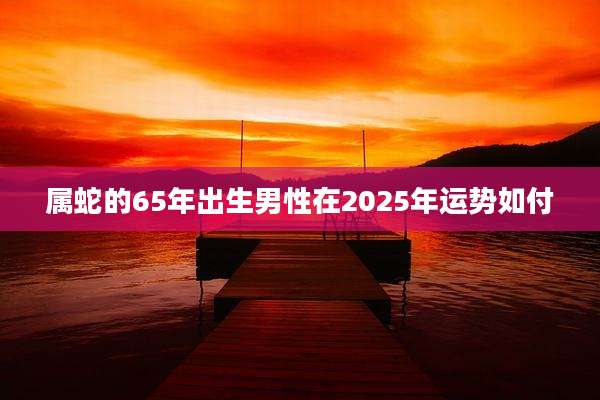 属蛇的65年出生男性在2025年运势如付