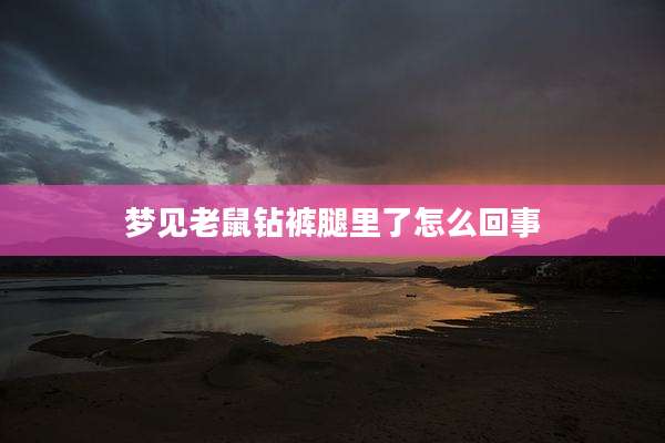 梦见老鼠钻裤腿里了怎么回事