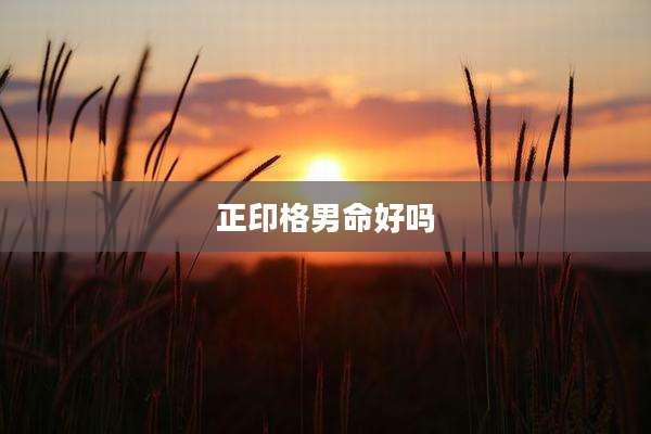 正印格男命好吗
