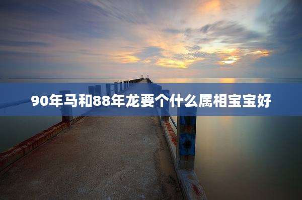 90年马和88年龙要个什么属相宝宝好