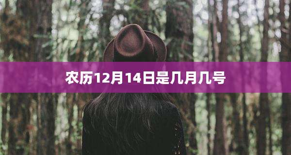 农历12月14日是几月几号