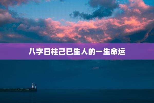 八字日柱己巳生人的一生命运
