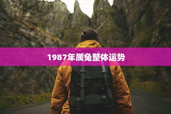 1987年属兔整体运势