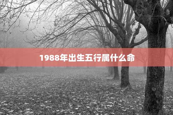 1988年出生五行属什么命