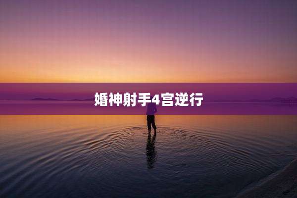 婚神射手4宫逆行