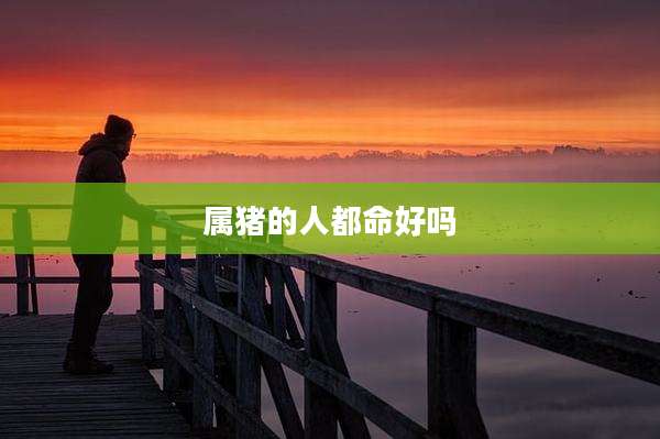 属猪的人都命好吗