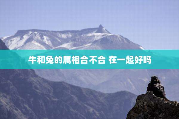 牛和兔的属相合不合 在一起好吗