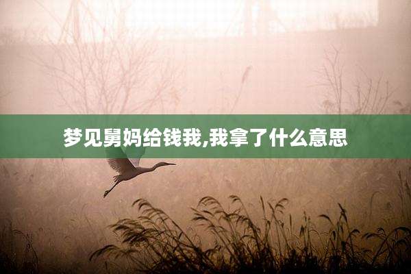 梦见舅妈给钱我,我拿了什么意思