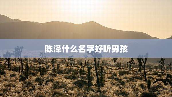 陈泽什么名字好听男孩
