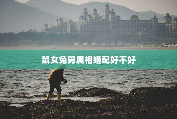 鼠女兔男属相婚配好不好