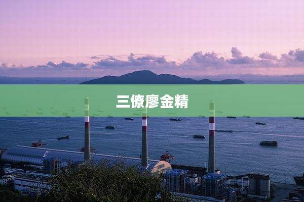 三僚廖金精