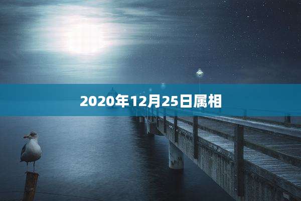2020年12月25日属相