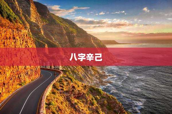 八字辛己
