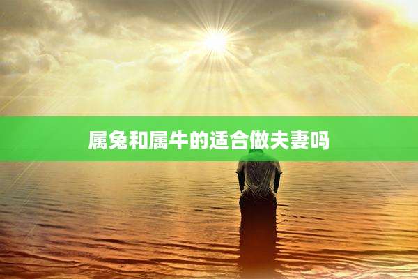 属兔和属牛的适合做夫妻吗