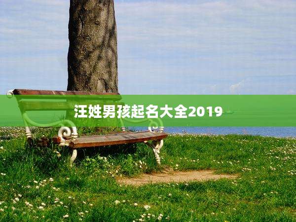 汪姓男孩起名大全2019