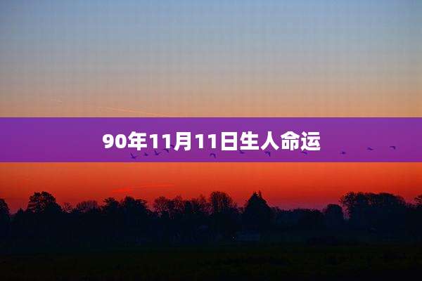 90年11月11日生人命运