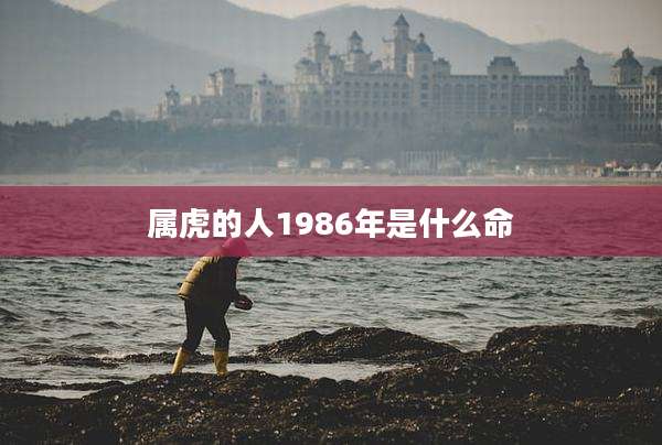 属虎的人1986年是什么命