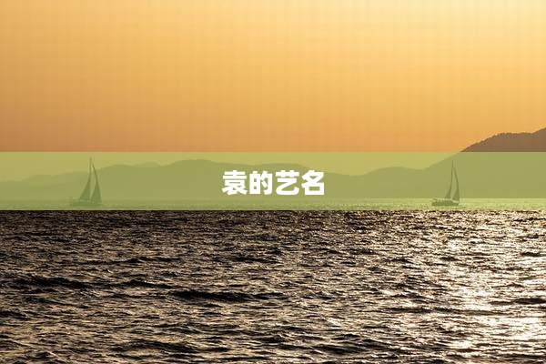 袁的艺名