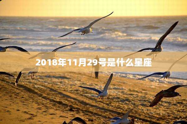 2018年11月29号是什么星座