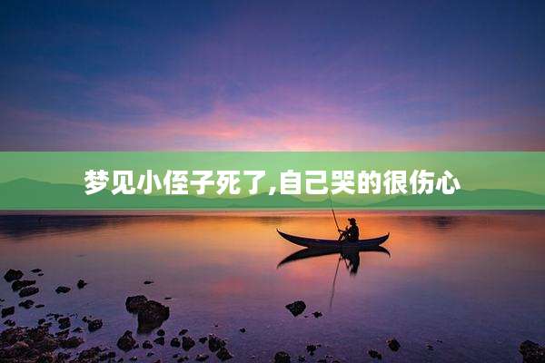梦见小侄子死了,自己哭的很伤心