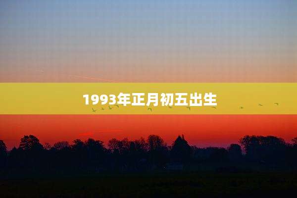 1993年正月初五出生