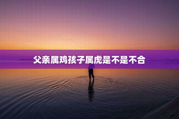 父亲属鸡孩子属虎是不是不合