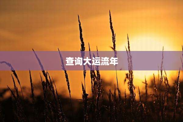 查询大运流年
