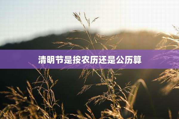 清明节是按农历还是公历算